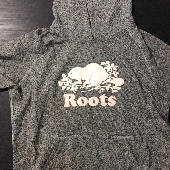 Grey ROOTS hoodie - Picture 1 of 3